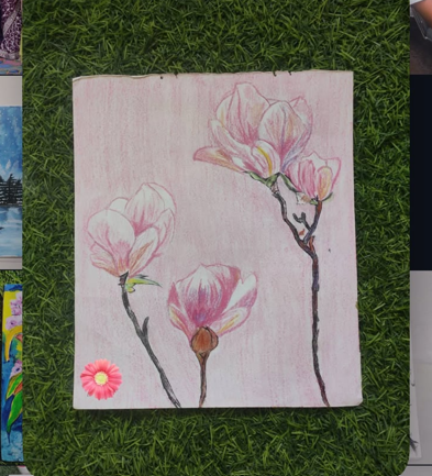 Plants